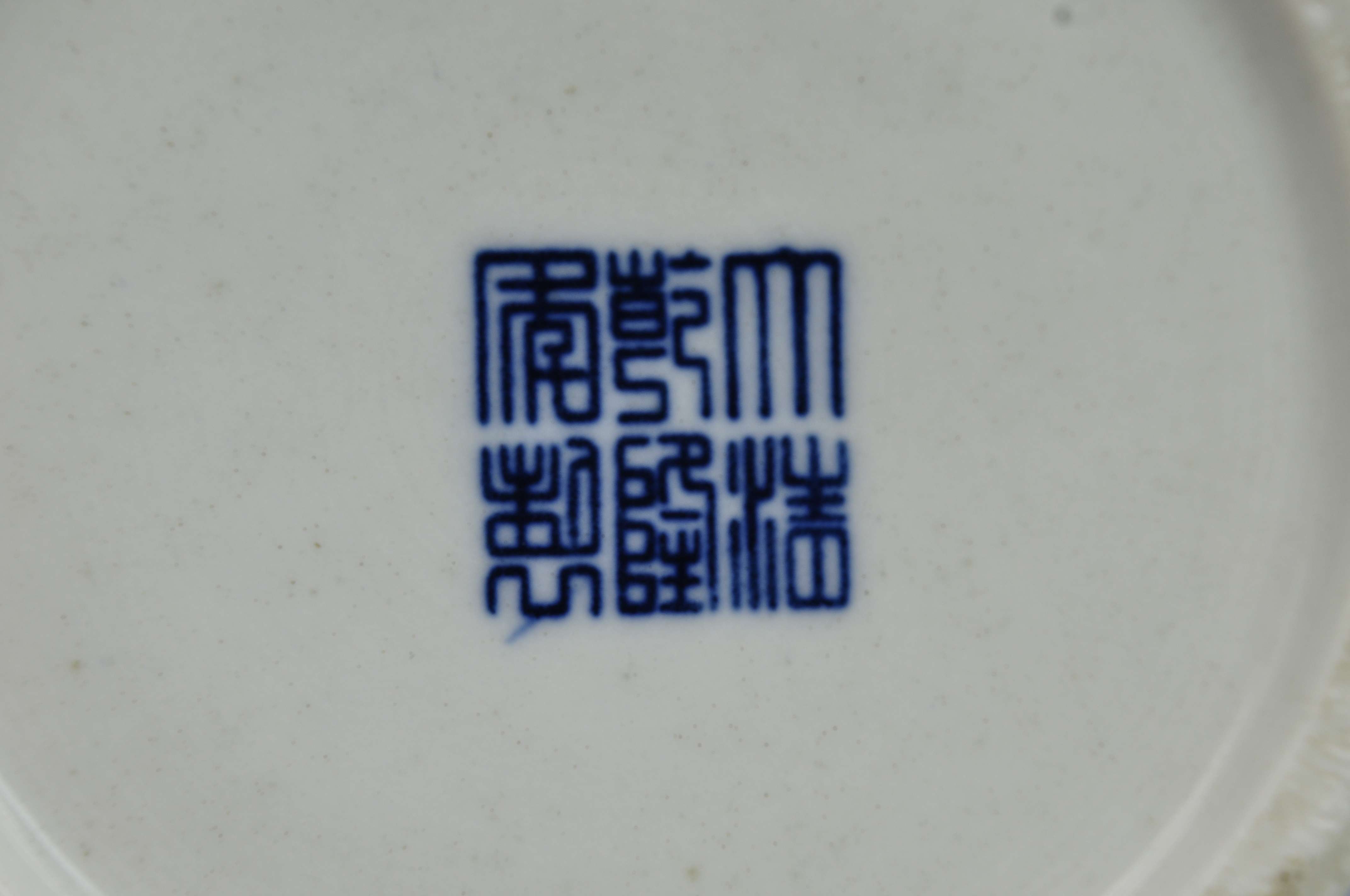 _DSC0237